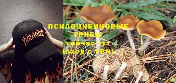 круглые Балахна