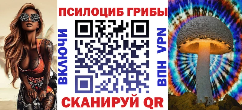 Галлюциногенные грибы Cubensis  МЕГА как зайти  Тында 